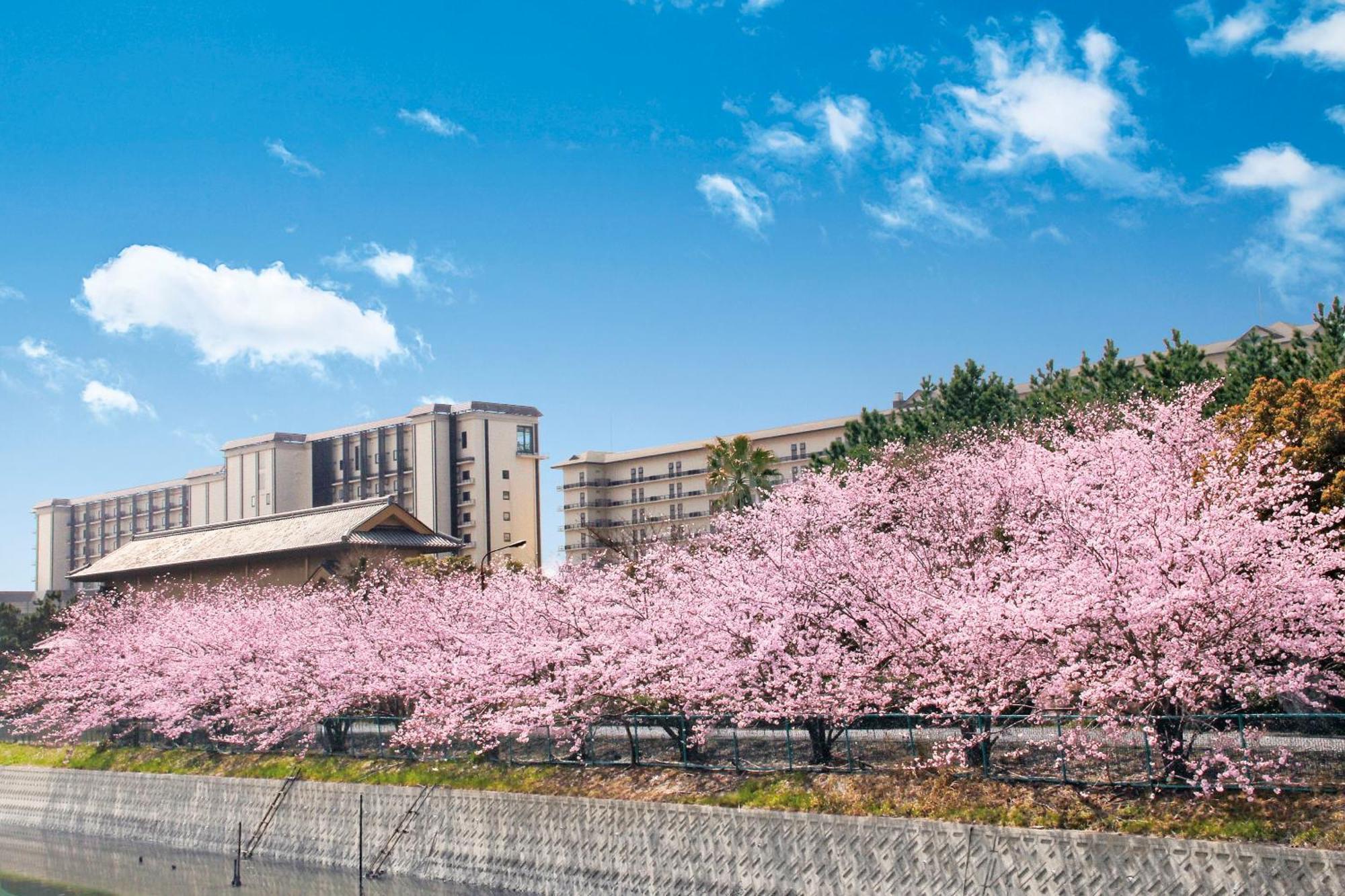 Ryugujo Spa Hotel Mikazuki Fujimitei Kisarazu Esterno foto